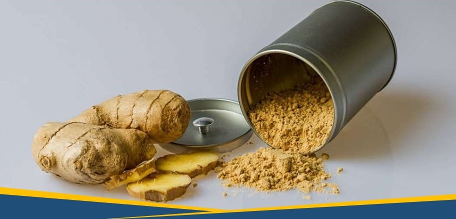 Herbal Pengusir Kembung dan Mual